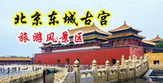 操操操网中国北京-东城古宫旅游风景区